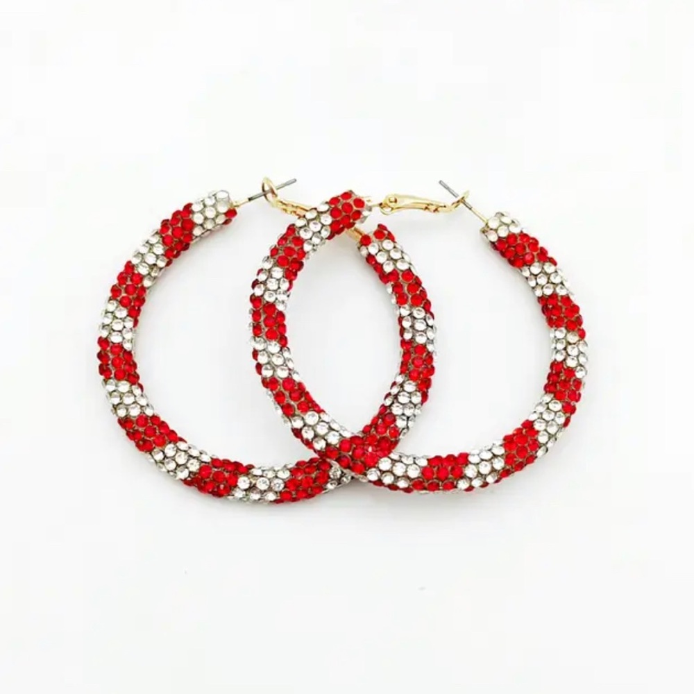 Delta Sigma Theta Color Rhinestone Earrings